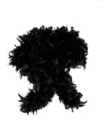 Feather Boa / Black | Products | , Gauteng / Jhb / Online Shop ONLY